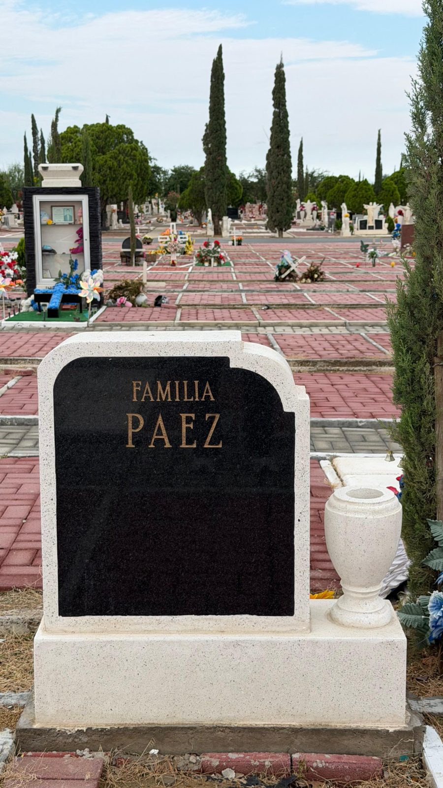 49-A-080 — Nacional, terreno de 1 m. Familia Páez